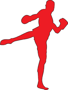 boxing-rouge3919122_960_720